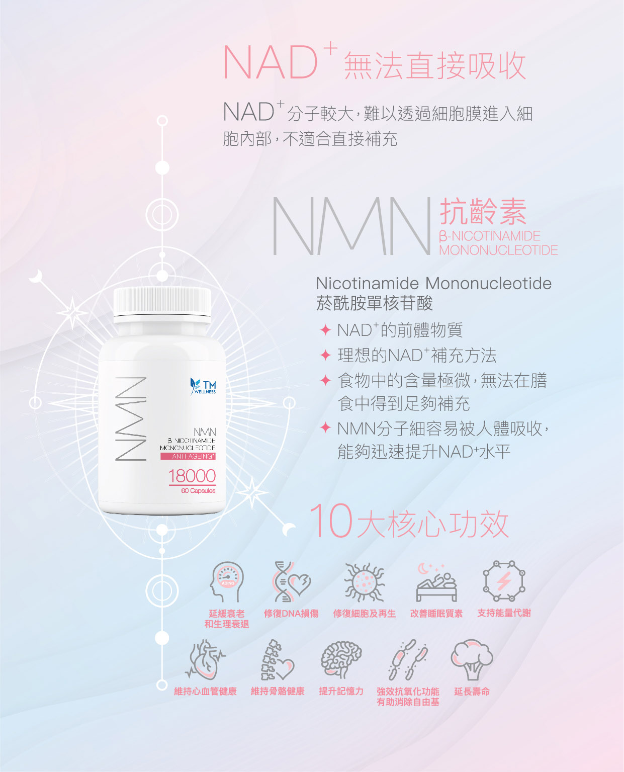 NMN 抗齡素